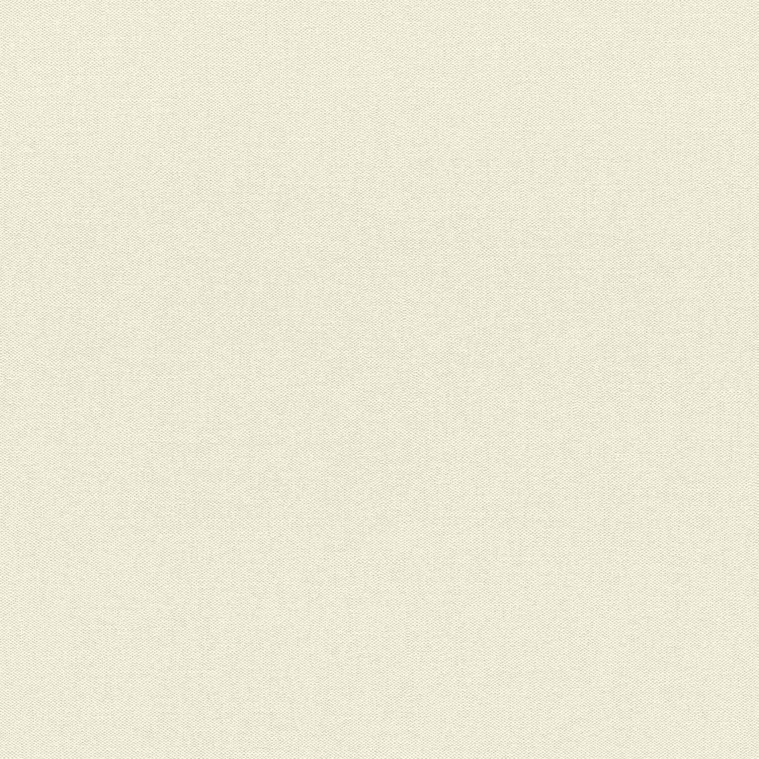 Rasch | Color Your Life | 633351 | Vliestapete | Einfarbig | Uni | 0.53 x 10.05 m | Beige