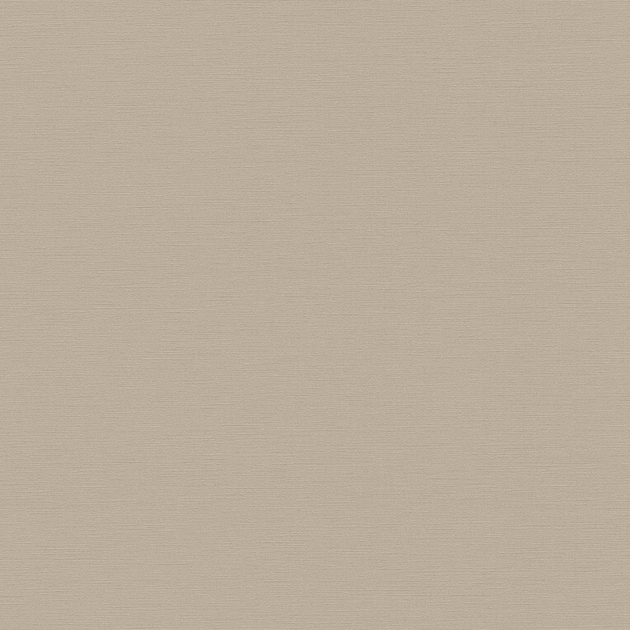 A.S. Creation | Antigua | 390983 | Vliestapete | Einfarbig | 10.05 x 0.53 m | Beige