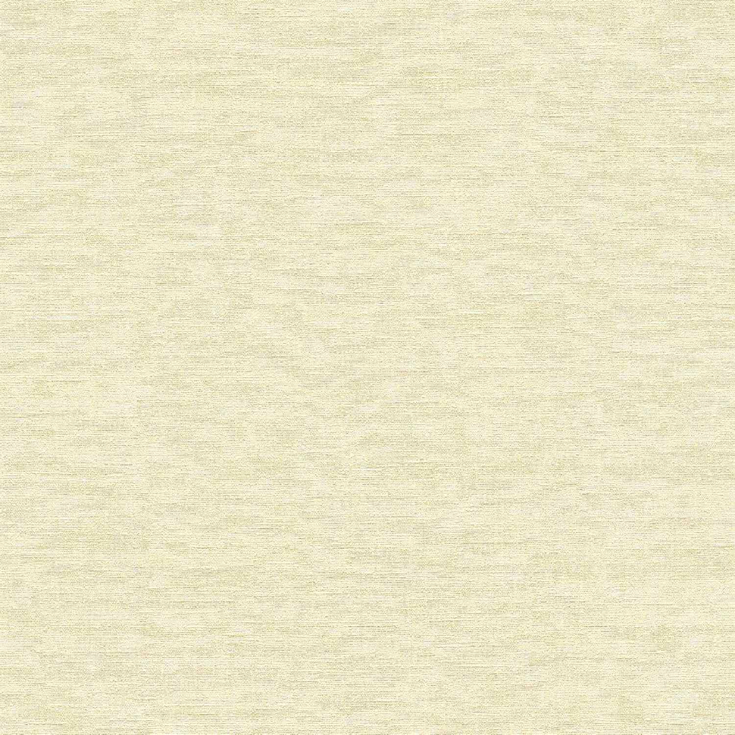 A.S. Creation | Smart Surfaces | 395651 | Vliestapete | Uni | Einfarbig | 0.53 x 10.05 m | Beige