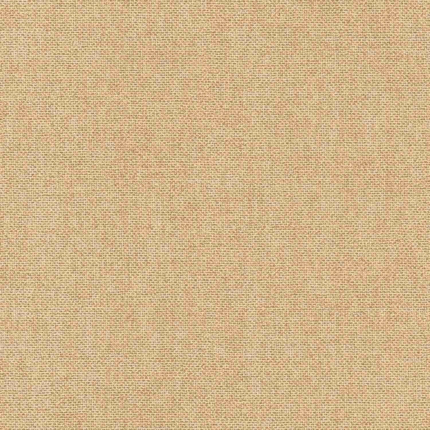 Rasch | Color Your Life | 312171 | Vliestapete | Einfarbig | Uni | 0.53 x 10.05 m | Beige