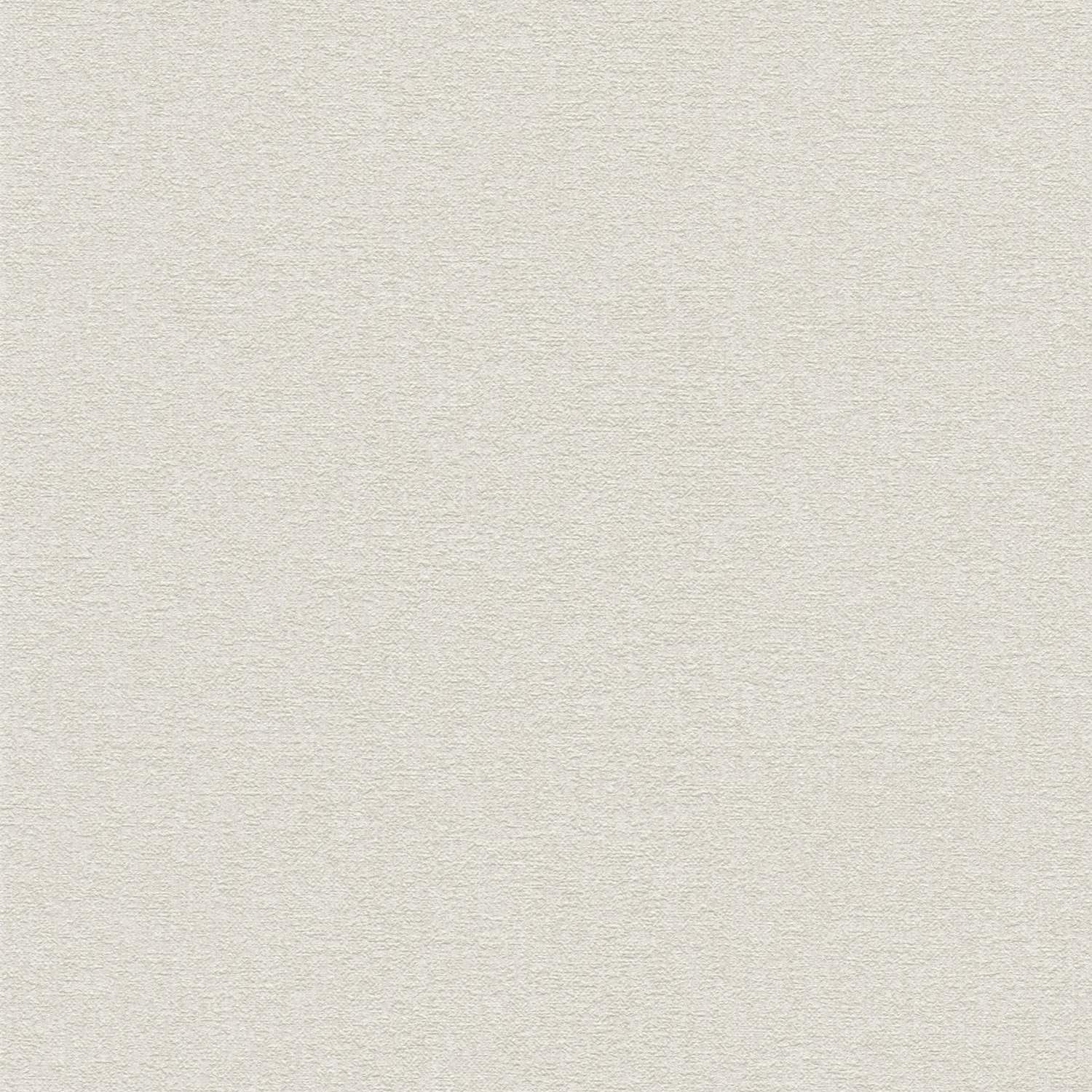 A.S. Creation | Stories of Life | 392164 | Vliestapete | Einfarbig | Uni | 0.53 x 10.05 m | Beige