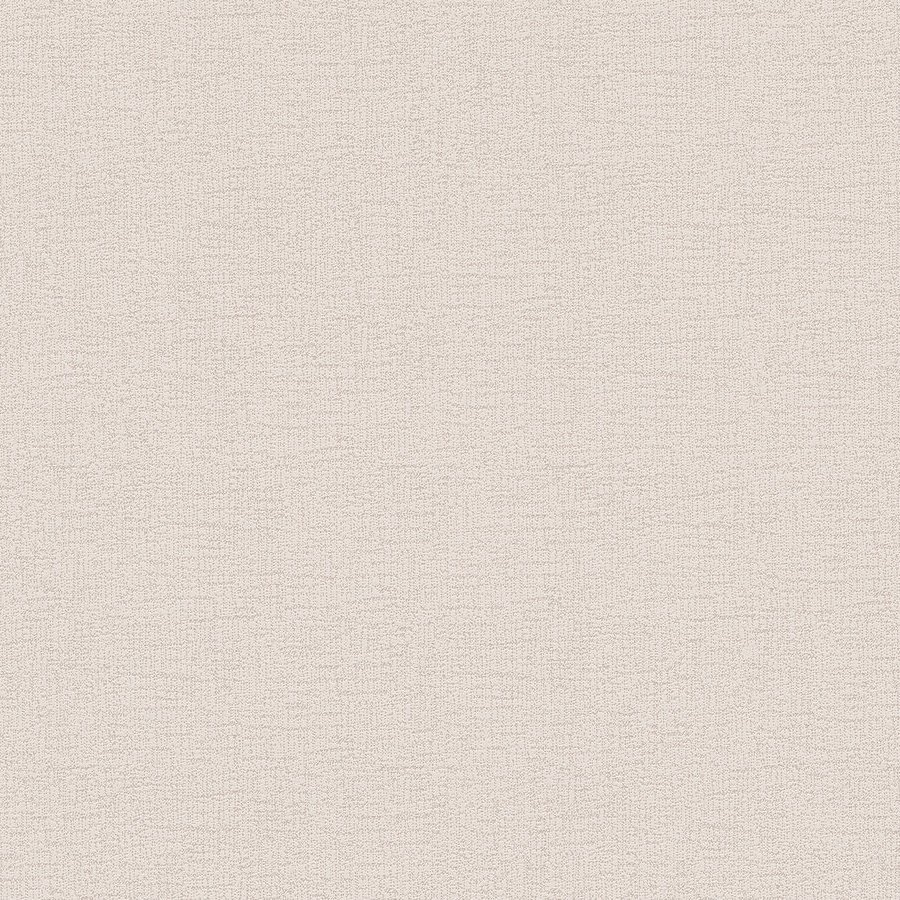 A.S. Creation | Styleguide Design 2024 | 378316 | Vliestapete | Einfarbig | 10.05 x 0.53 m | Beige