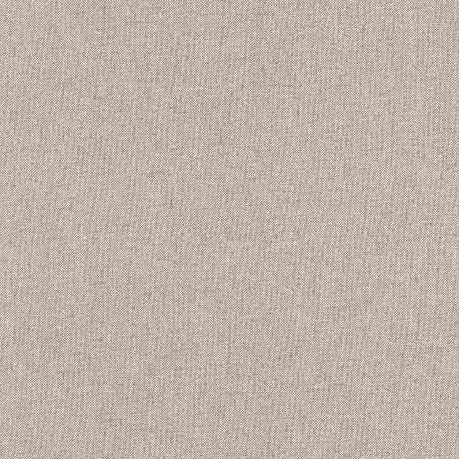 Rasch | Color Your Life | 633672 | Vliestapete | Einfarbig | Uni | 0.53 x 10.05 m | Beige