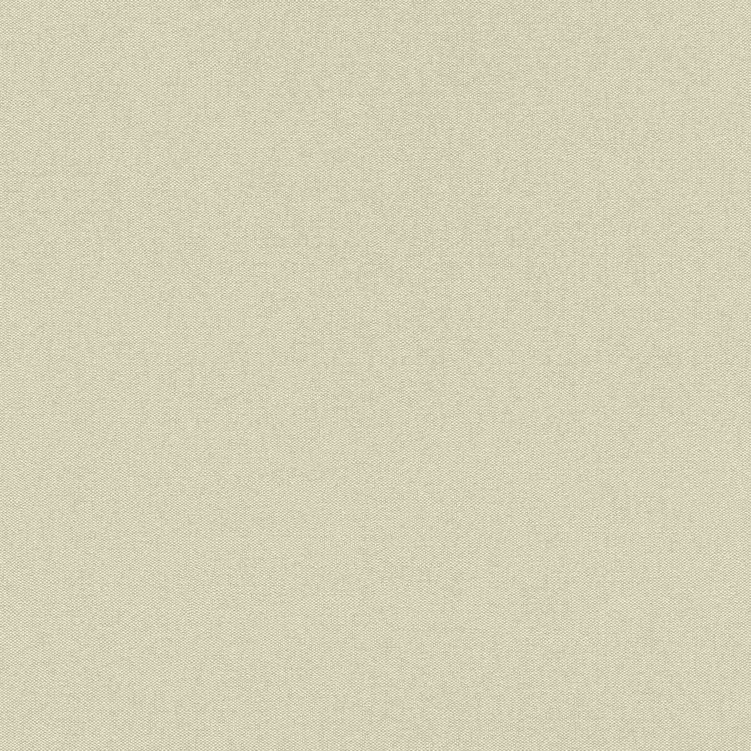 Rasch | Color Your Life | 633344 | Vliestapete | Einfarbig | Uni | 0.53 x 10.05 m | Beige