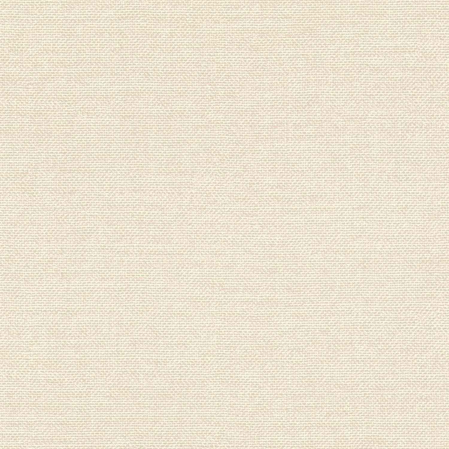 Rasch | Color Your Life | 312126 | Vliestapete | Einfarbig | Uni | 0.53 x 10.05 m | Beige