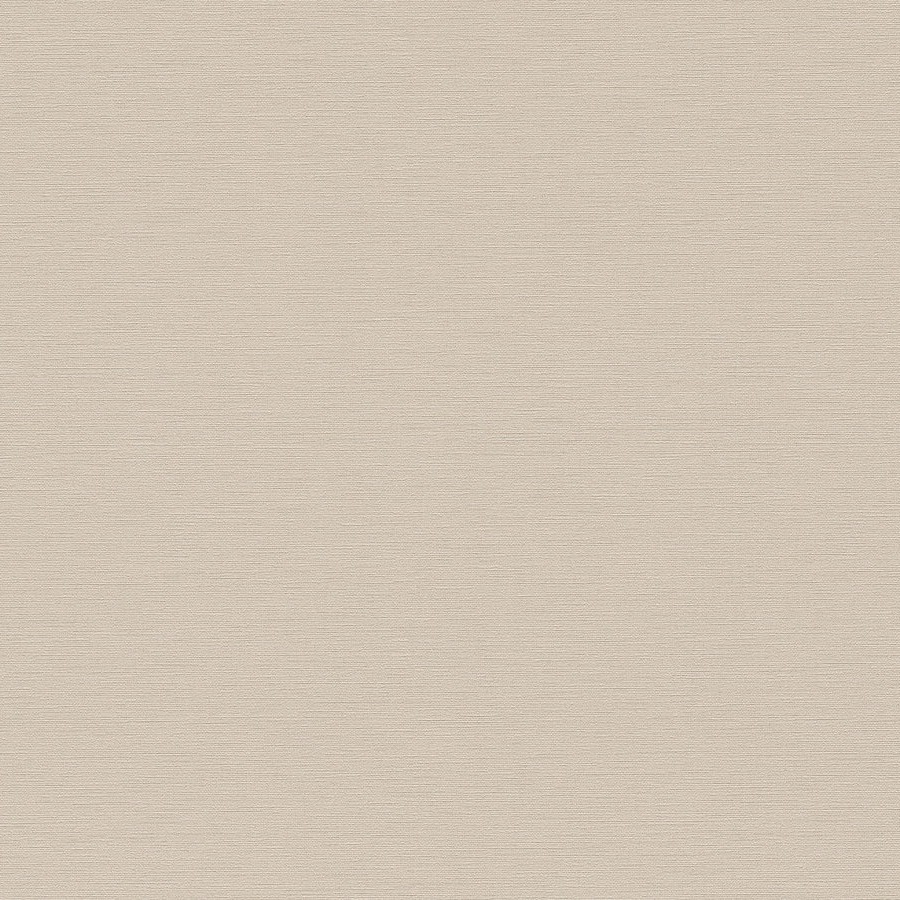 A.S. Creation | Antigua | 390971 | Vliestapete | Einfarbig | 10.05 x 0.53 m | Beige